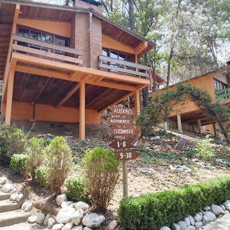 Cabanas Los Bosques Del Zembo Huasca de Ocampo Ngoại thất bức ảnh