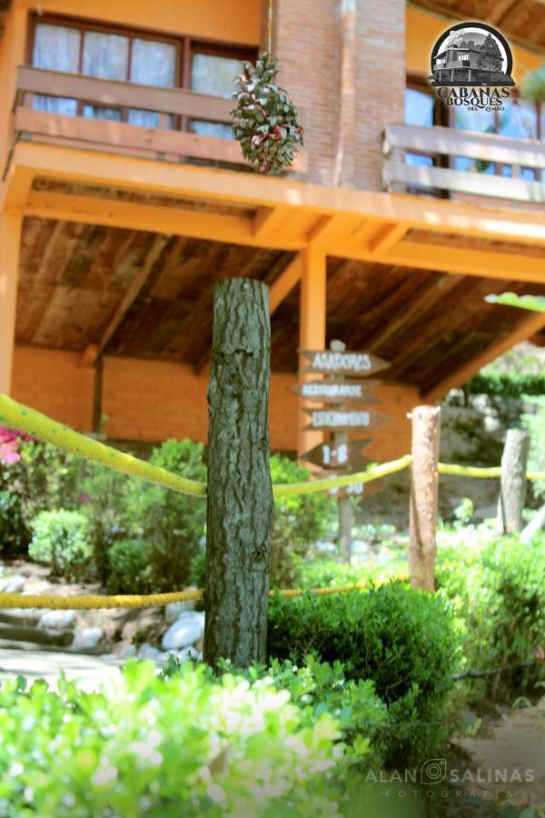 Cabanas Los Bosques Del Zembo Huasca de Ocampo Ngoại thất bức ảnh