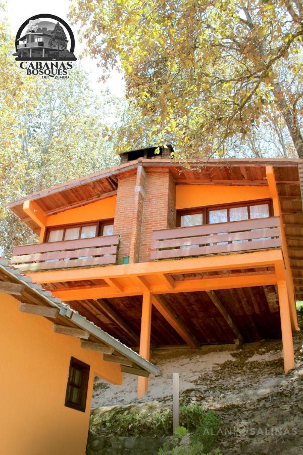Cabanas Los Bosques Del Zembo Huasca de Ocampo Ngoại thất bức ảnh