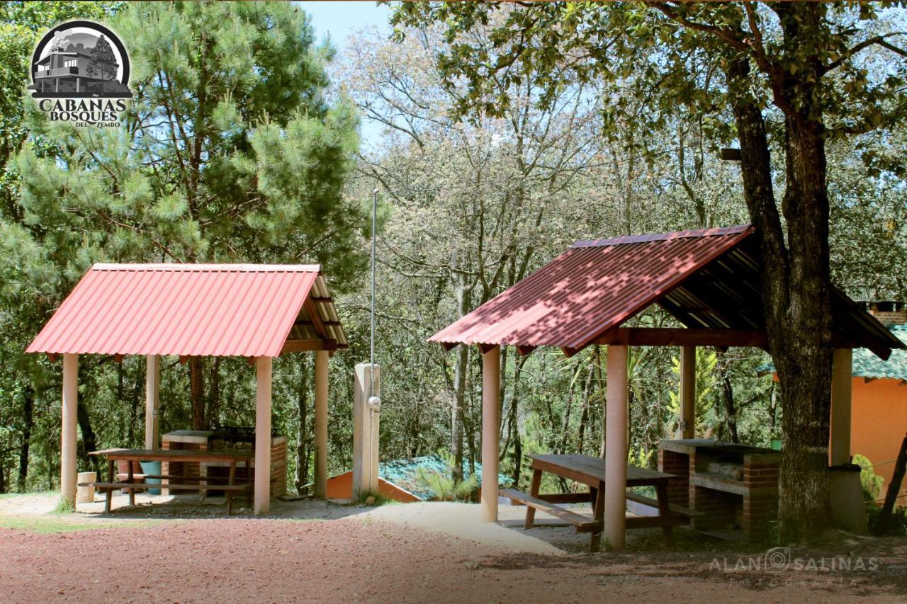 Cabanas Los Bosques Del Zembo Huasca de Ocampo Ngoại thất bức ảnh