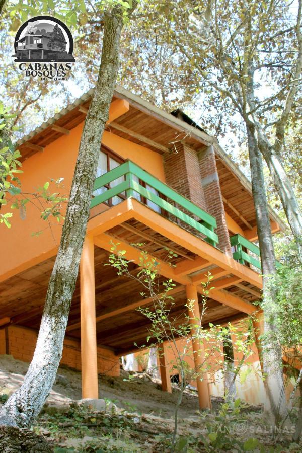 Cabanas Los Bosques Del Zembo Huasca de Ocampo Ngoại thất bức ảnh