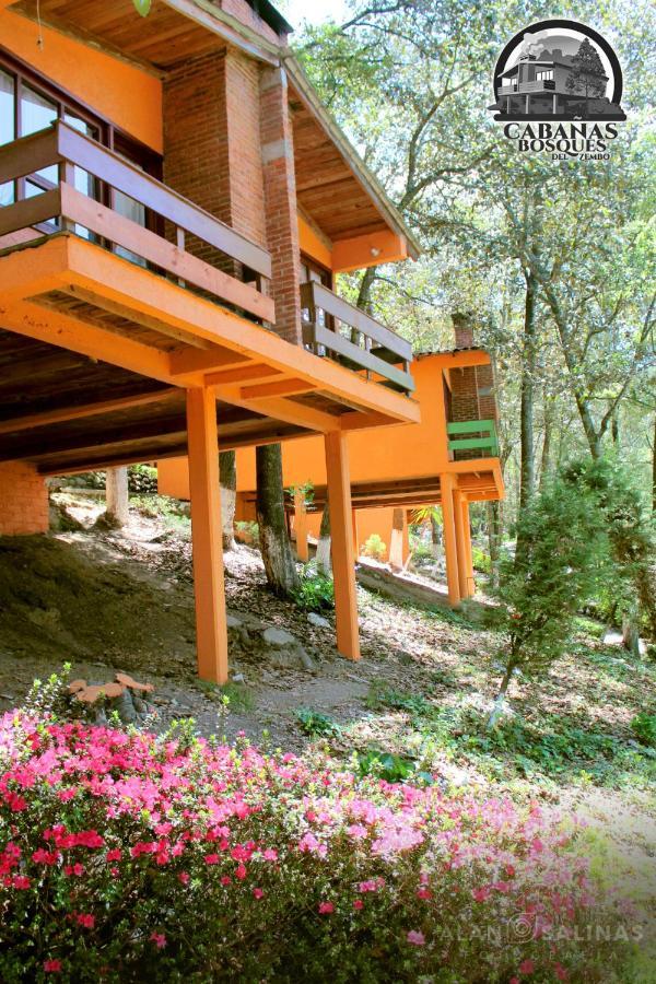 Cabanas Los Bosques Del Zembo Huasca de Ocampo Ngoại thất bức ảnh