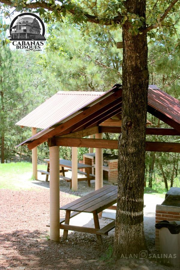 Cabanas Los Bosques Del Zembo Huasca de Ocampo Ngoại thất bức ảnh