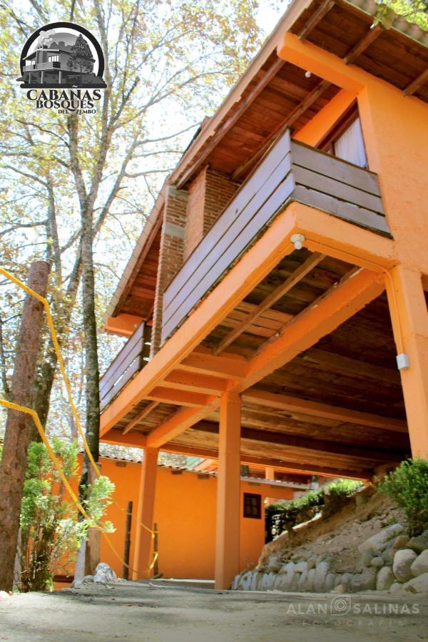 Cabanas Los Bosques Del Zembo Huasca de Ocampo Ngoại thất bức ảnh