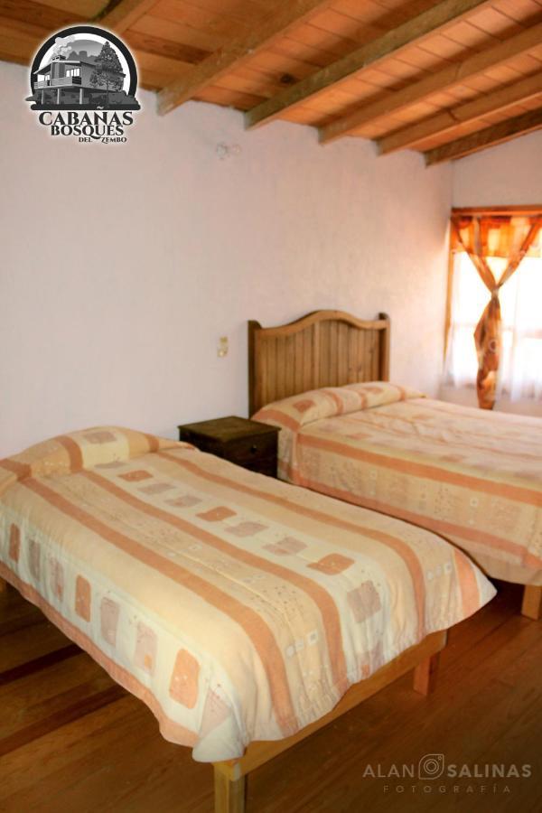 Cabanas Los Bosques Del Zembo Huasca de Ocampo Ngoại thất bức ảnh