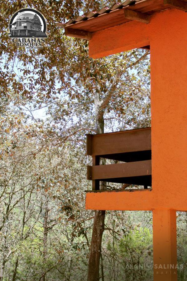 Cabanas Los Bosques Del Zembo Huasca de Ocampo Ngoại thất bức ảnh
