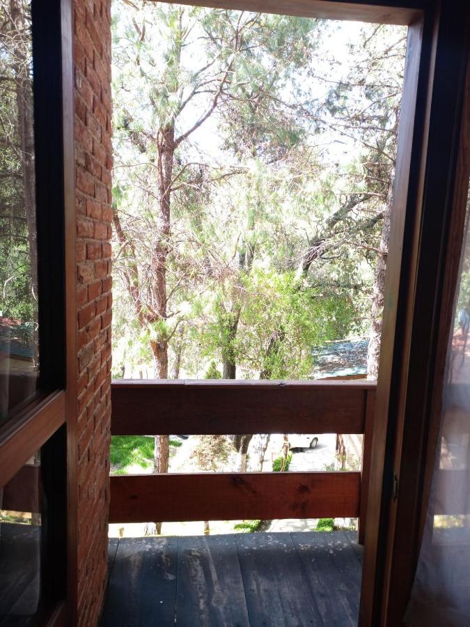 Cabanas Los Bosques Del Zembo Huasca de Ocampo Ngoại thất bức ảnh