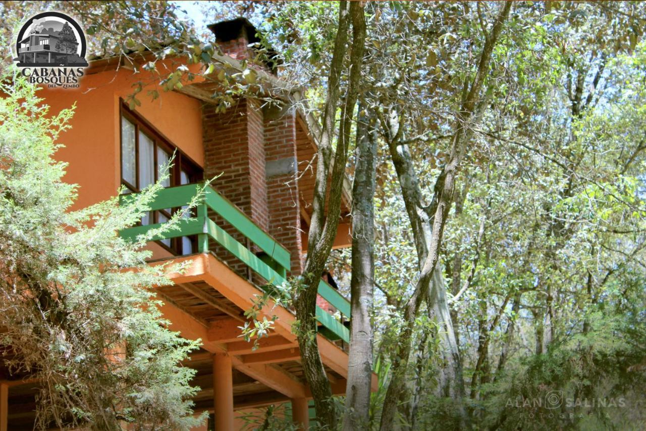 Cabanas Los Bosques Del Zembo Huasca de Ocampo Ngoại thất bức ảnh