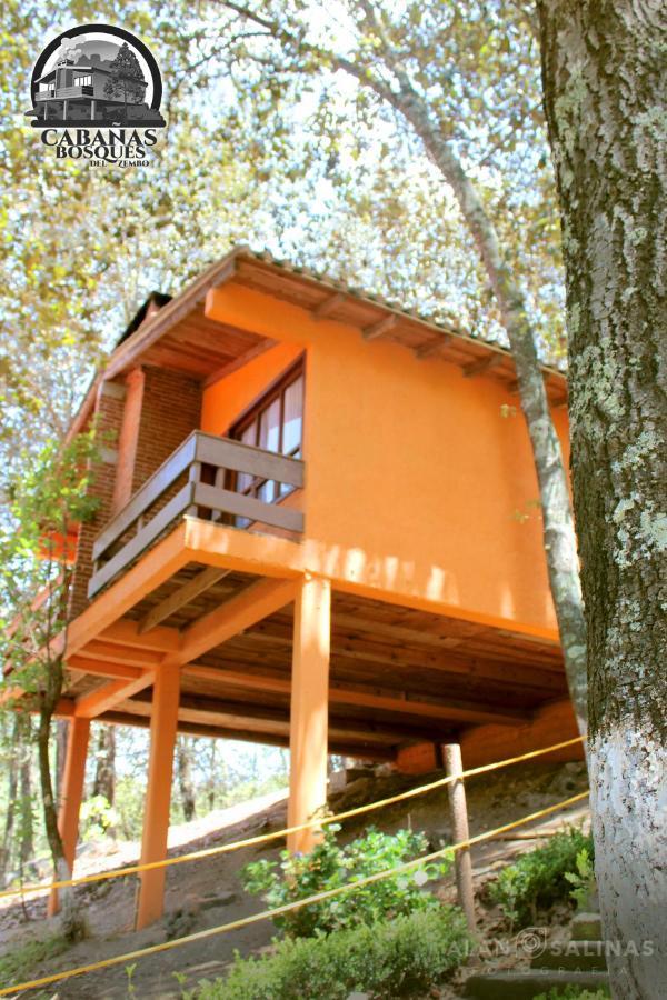 Cabanas Los Bosques Del Zembo Huasca de Ocampo Ngoại thất bức ảnh