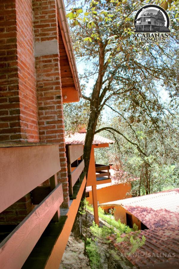 Cabanas Los Bosques Del Zembo Huasca de Ocampo Ngoại thất bức ảnh
