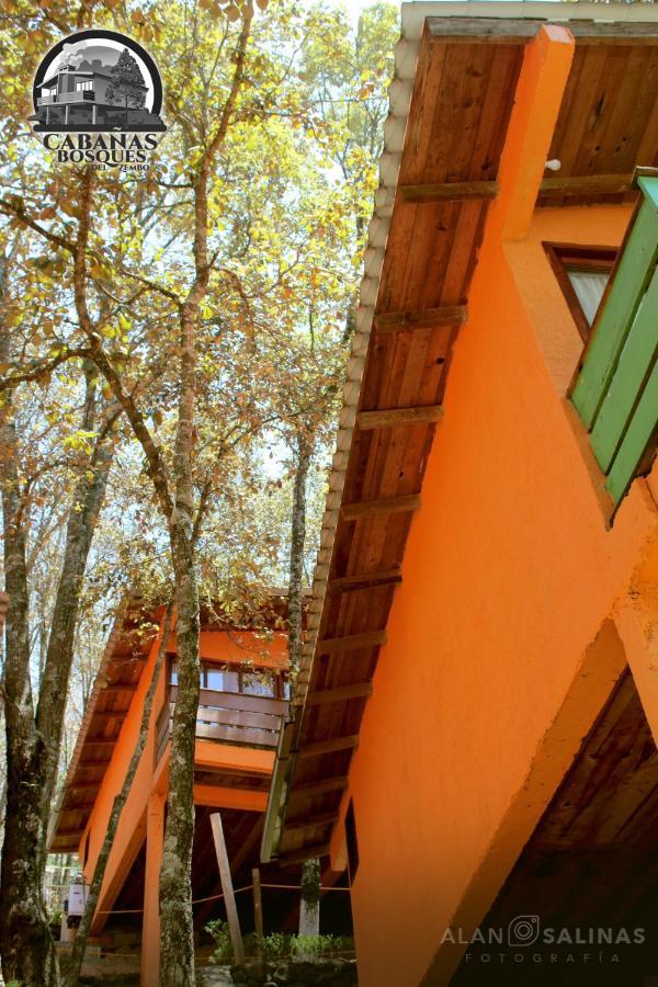 Cabanas Los Bosques Del Zembo Huasca de Ocampo Ngoại thất bức ảnh