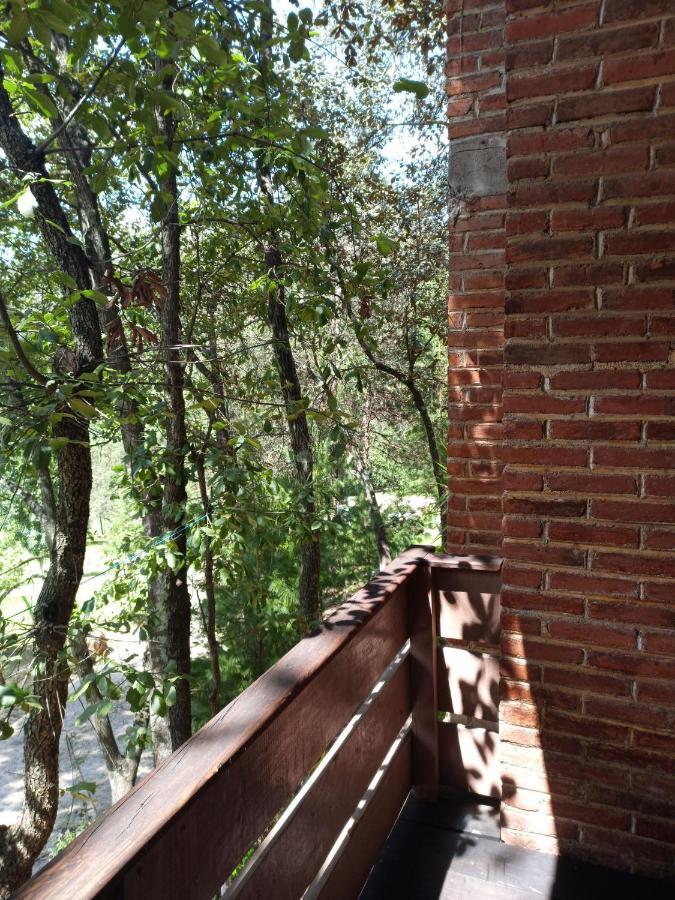 Cabanas Los Bosques Del Zembo Huasca de Ocampo Ngoại thất bức ảnh